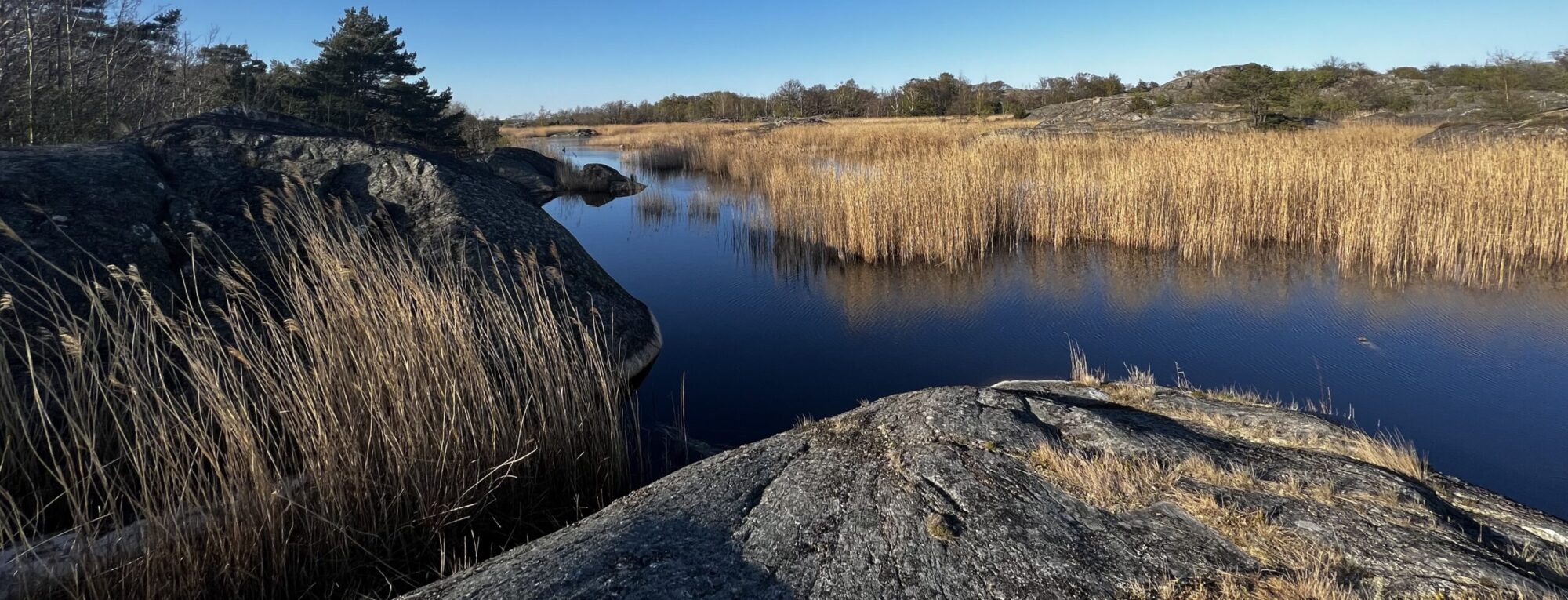 Skärgårdens Bokmässa